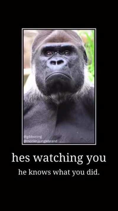 he disappointed 😔