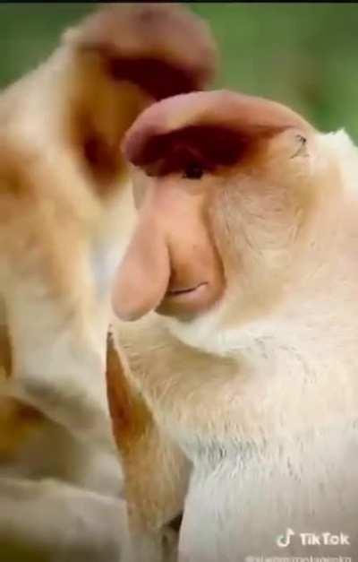 This isn't mine. Please don't waste your awards