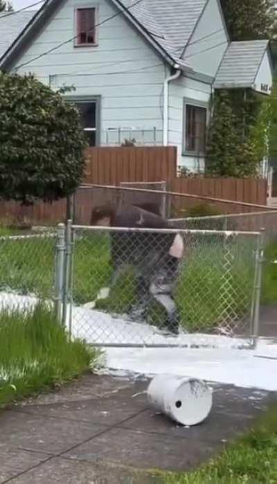 We need more white Mr. White