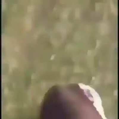 OrochiLive - Video #5465