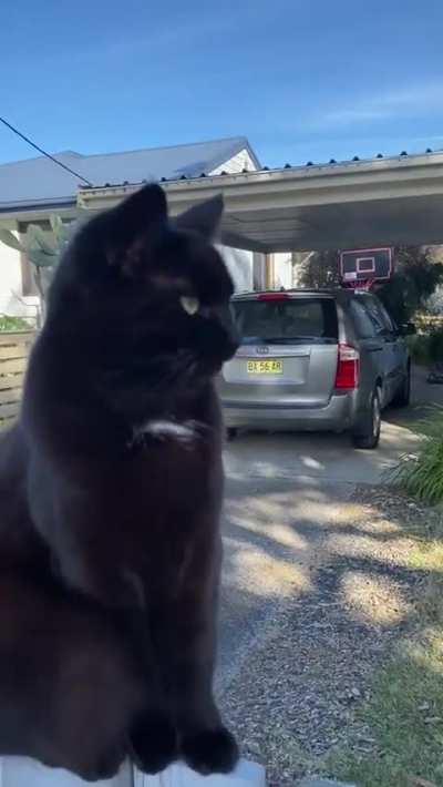 Supervisor watching very closely at work