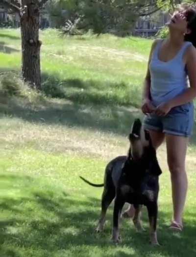 🐕 “HELLOOOOOO” 🐕