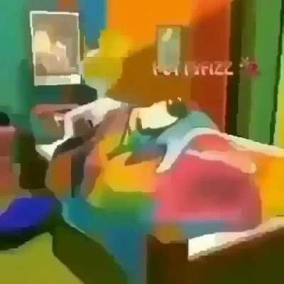 Donald gets head 60fps 4k (hot)