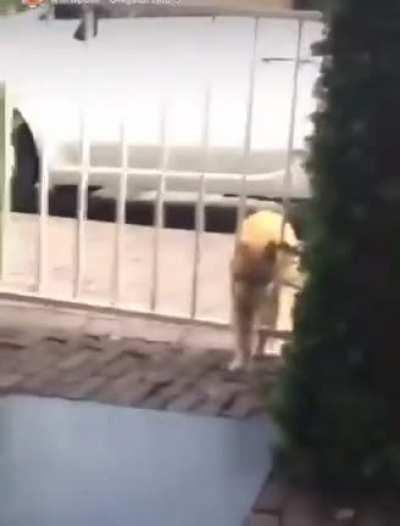 Realizing you got fat for holidays