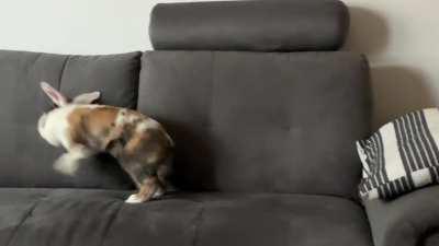 Zero to bun hundred in two seconds