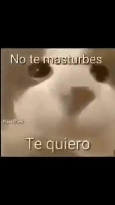 puto 2023 de mierda 🚬🗿