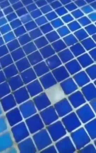 POV:  Me after play r/place for 6 days without sleepin'