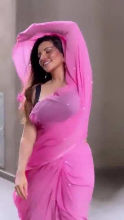 Shama Sikander in saree.