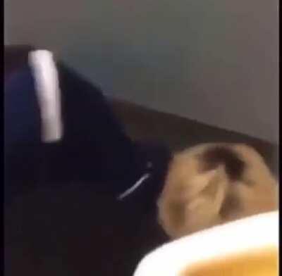 LEAKED VIDEO OF XQC FIGHTING IN HIGHSCHOOL!!!!!