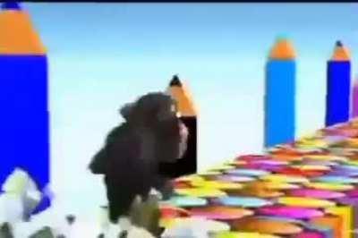 🐻🐻💥. 🦁🦁💥.