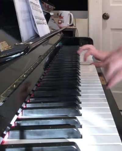 Other people: Classical music is boring. My musically inclined bird: