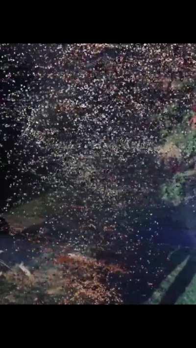 KhaJiT 4RhAaWh nGh PpAatAYh Ng/-\Y0N, 9uHSTo kHo laANh6 mMaAlam/-\nH mHO nNA m/-\jaAlH Nh@ MAjAal Kh1tHA ka|-|1t MhinsaAnH aAngH zZAaKIT $4Kh1t Nha 😢