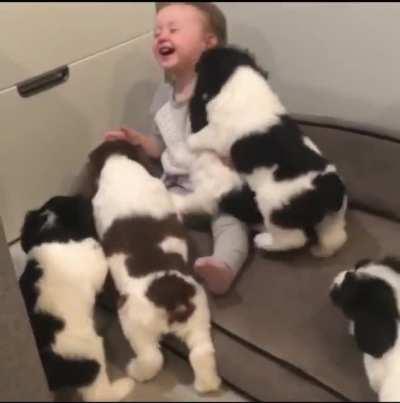 Girl viciously mauled to death by savage dogs