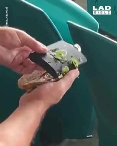 Is that Lembas?…. Wait no but yes