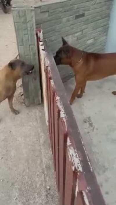 When 'WE' get through this gate.....Your gonna be sorry for real!