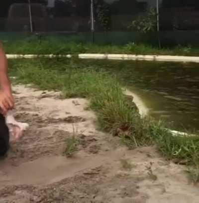 It's ok, we all have bad days.