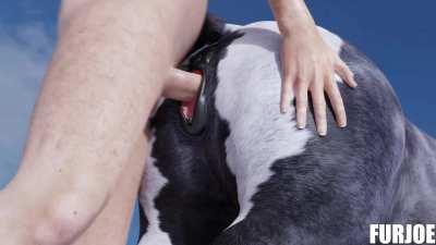 Having fun with his mare [MF] (furjoe)