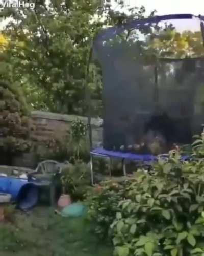 This Water Gives Me All The Energy