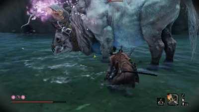 This is my first time playing Sekiro and I think I’ve finally mastered the art of Ninja Stealth. 