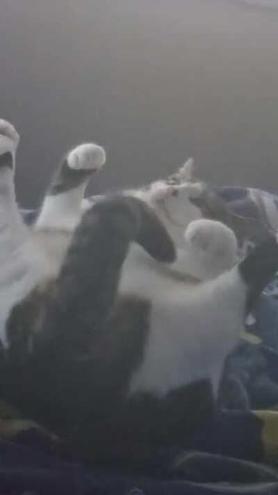 Your existential crises of the day, brought to you by Miri