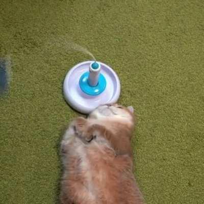 I AM working out to loose weight.