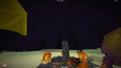 Holy frick gamers, I market gardened the ender dragon.