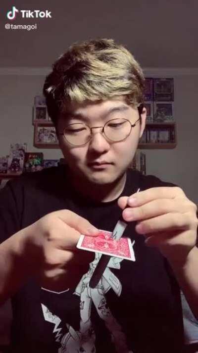 That's enough magic for today