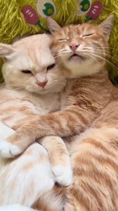 arguing in sleep, lol