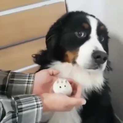 I am not ganna look at that?