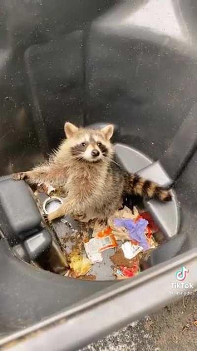 “Let me help you.”