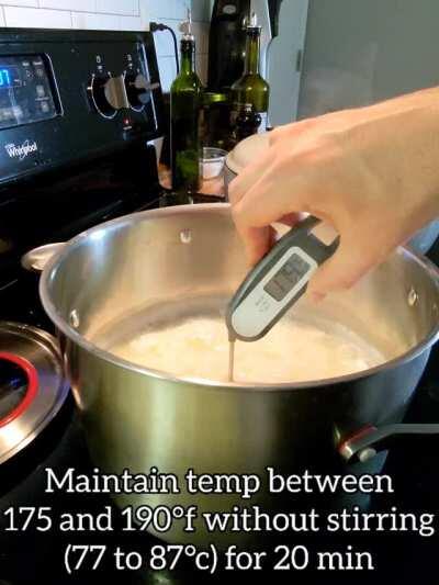 How to Make Fresh Ricotta Cheese