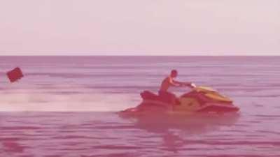 The Sharpedos on isle of armor