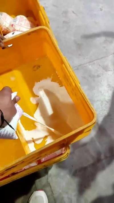 These dogs were searching for food for a long time, then a milkman gave them milk to drink.