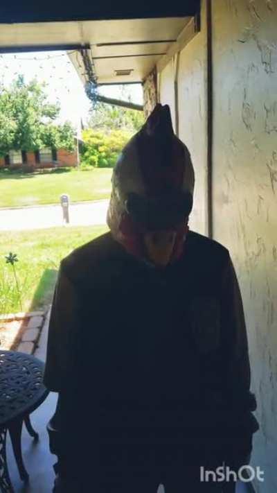 Knock knock who is at the door 👀