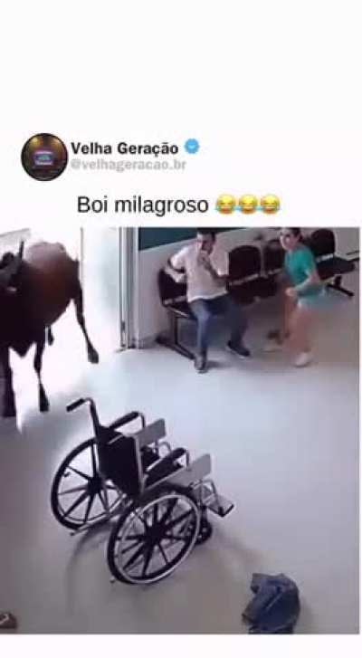 Quando eu tô indo na perícia do INSS: