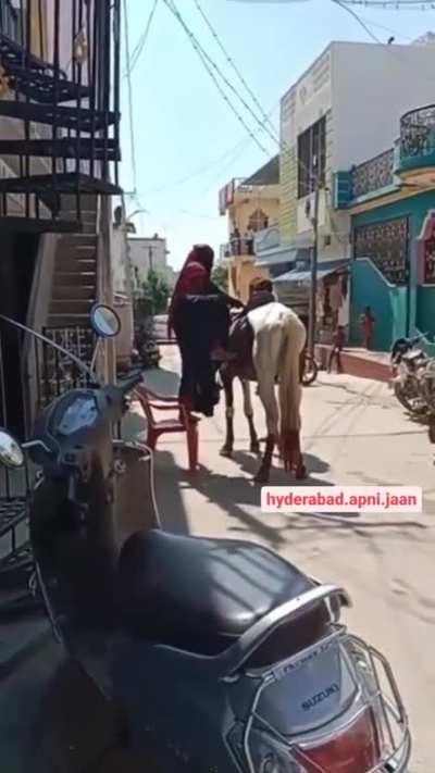 HMC while I try to sit on a horse