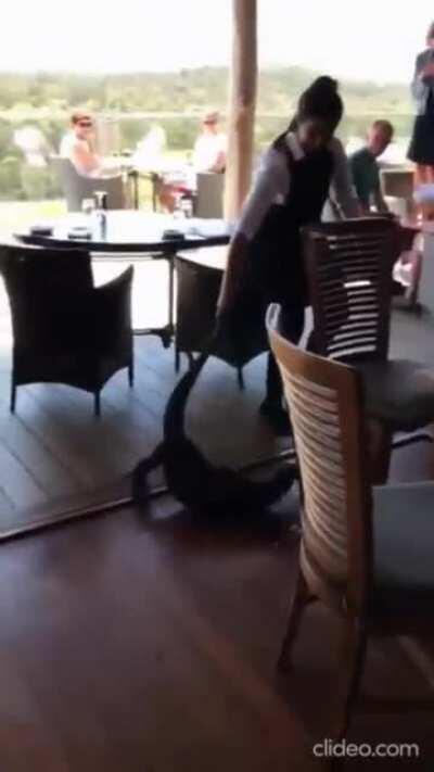 Traditional Australian vaccum cleaning