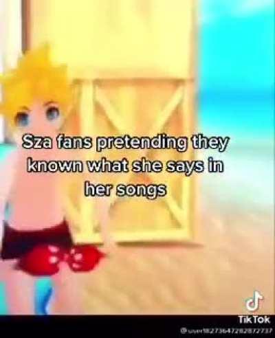 “Izbin a minet sinse i wilout felen wilopen” - SZA