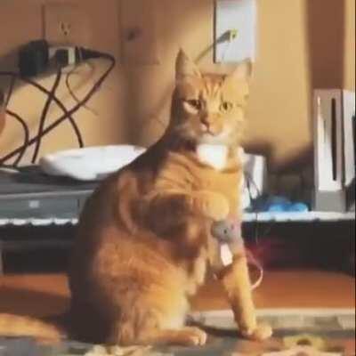 Тут не на что смотреть