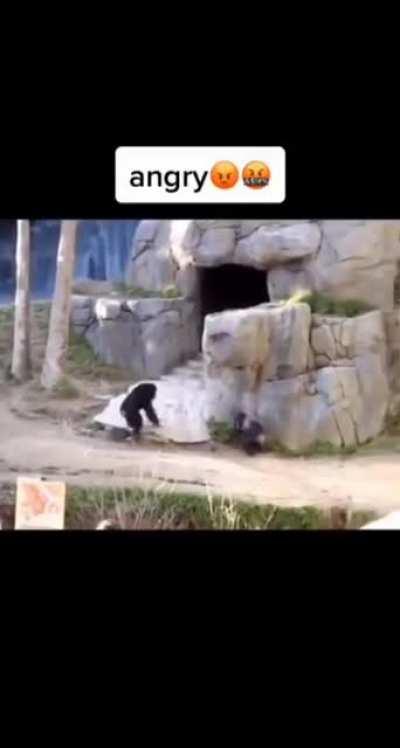 Imma moody monke OO OOO