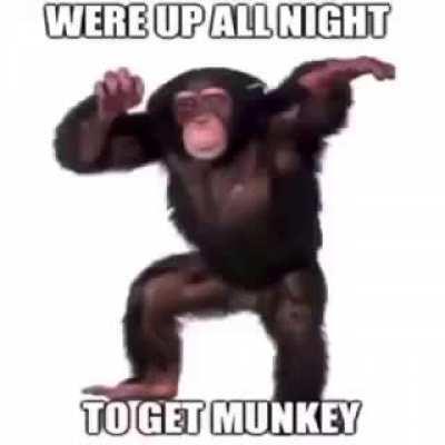 Munkey