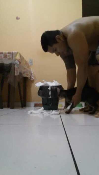 Let the punishment fit the crime.