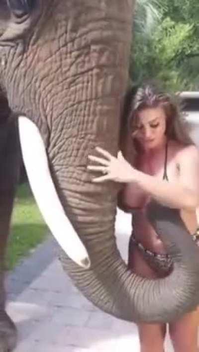 When the elephant NEEDS SOME MILK