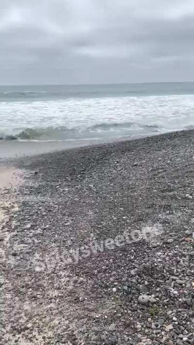 Awww, you look thirsty