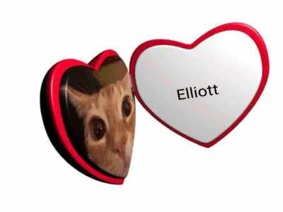 Elliott