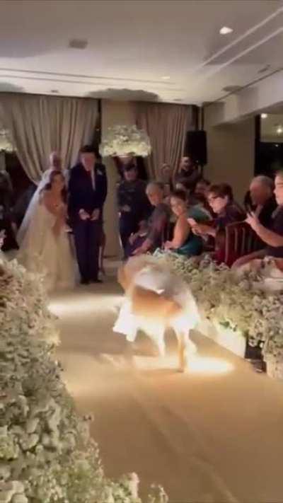 The Prettiest Ring Bearer Ever