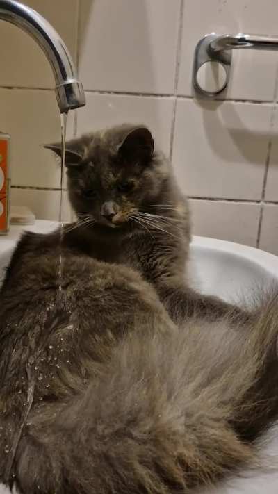 On all levels except physical, she is orange 😹