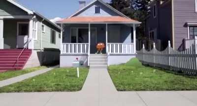 Darwin fuck with The Woo 💫💫