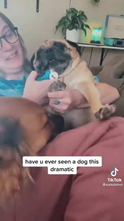 Carola jugando phasmophobia :v