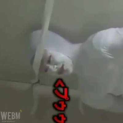 Even the walls have eyes